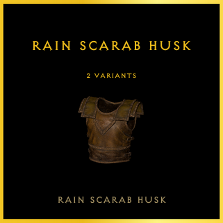 Rain Scarab Husk